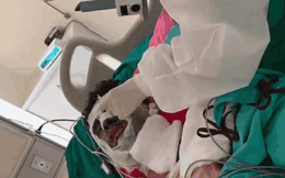 Vụ nam Việt kiều bị tạt axit, chém đứt gân chân: Vì sao anh trai nạn nhân vội vã về nước?