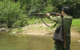 Bật loa điện thoại giả tiếng gà rừng gáy, bị thợ săn bắn tử vong