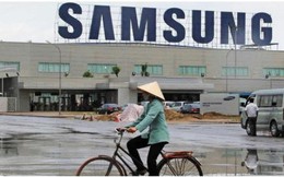 Lợi nhuận của Samsung Việt Nam bất ngờ giảm sâu, xuống thấp hơn cả khi có sự cố Galaxy Note 7, hai công ty con báo lỗ