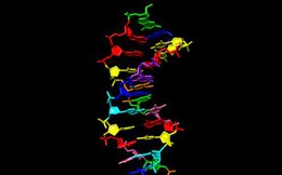 DNA “8 chữ cái” giúp tìm sự sống ngoài hành tinh