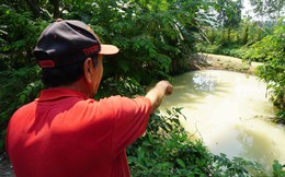 Người dân Đà Nẵng hoảng hốt khi nước kênh trắng như sữa, nồng nặc mùi thuốc trừ sâu