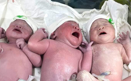Hội bỉm sữa xôn xao trước ca sinh 3 "siêu tiết kiệm", đẻ một lần có đủ cả nếp lẫn tẻ