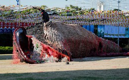 7 ngày qua ảnh: Tượng cá voi khổng lồ chết vì nuốt nhiều rác thải nhựa