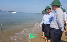 Cận cảnh "hòn đảo lạ" mới xuất hiện ngoài biển khiến chính quyền Quảng Nam lúng túng