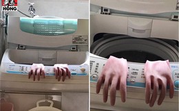 Sáng sớm vào nhà tắm, "đôi tay lạ" thò ra từ máy giặt khiến người chồng muốn khóc