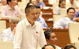 ĐB Nguyễn Lân Hiếu: Thi cử càng cải cách, kết quả càng kém hơn, tiêu cực phát hiện nhiều hơn