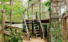 Bí ẩn trong ngôi nhà gỗ giữa rừng của cô gái người Việt ở Pháp
