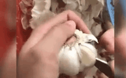 Clip bóc tỏi siêu nhanh bất ngờ hút 22 triệu view