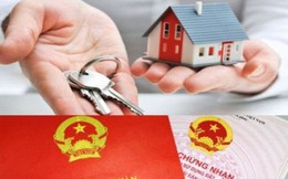 Núp bóng người Việt, người Trung Quốc thâu tóm “đất đẹp” tại Việt Nam