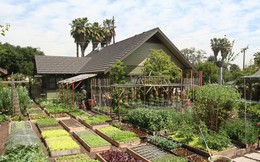 Gia đình nhiều thế hệ chung sống hạnh phúc bên ngôi nhà yên bình cùng mảnh vườn trồng rau quả sạch rộng 4000m²
