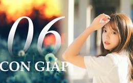 Trong 3 tháng tới, có 6 con giáp cần chú ý kẻo nhược điểm của bản thân cản trở lớn đến tiền tài, công danh