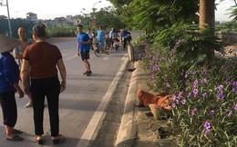 Nữ lao công bị ô tô đâm ở Hà Nội nghi trước khi tử vong kịp viết lại biển số xe gây tai nạn