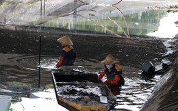 Công nhân đội nắng, ngâm mình dưới nước bẩn nạo vét bùn sông Tô Lịch