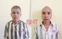 Cú lừa "ngoạn mục": 8 mật lợn khô giá... 190 triệu đồng!