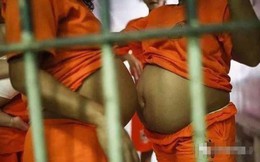 Nữ phạm nhân đồng loạt mang thai trong tù, kết quả xét nghiệm ADN còn gây bất ngờ hơn nữa