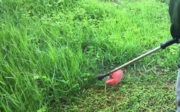 Bé gái bị máy cắt cỏ chém thủng bụng, gia đình dùng kim chỉ thường khâu sống không gây tê