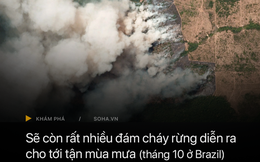 ĐỘC QUYỀN: Giám đốc truyền thông đài quan sát khí hậu Brazil nói gì về thảm họa cháy rừng?
