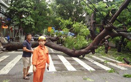 Sau cơn mưa suốt đêm, nhiều nơi ở Hà Nội chìm trong "biển" nước, cây lớn đổ đè một phần taxi