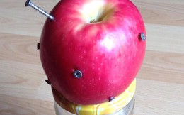Cắm 12 cây đinh vào quả táo rồi ăn để bổ sung sắt: Chuyên gia lý giải về ý tưởng "điên rồ"