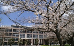 Tạp chí Nhật hứng "gạch đá" vì xếp hạng các trường đại học có nữ sinh "dễ dãi" nhất