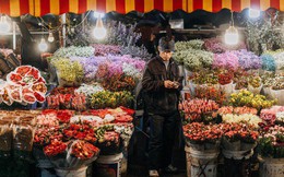 Chùm ảnh: Chợ hoa Quảng An sáng đèn, lung linh những ngày giáp Tết