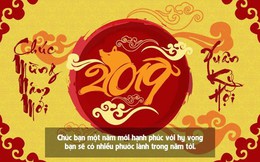Lời chúc mừng năm mới Tết Kỷ Hợi 2019 cho sếp ấn tượng, độc đáo nhất