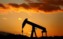 Giá dầu tăng cao nhất trong năm 2019 sau khi Mỹ trừng phạt Venezuela