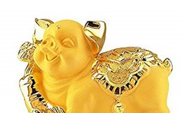 Năm 2019 Kỷ Hợi sinh con tháng nào thì tốt?