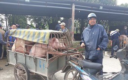 “Đệ nhất chợ lợn" ở Hà Nam