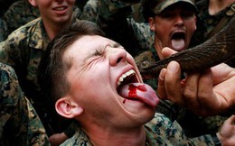 Lính Mỹ uống máu rắn hổ mang, nhai bọ cạp sống để sinh tồn