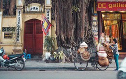 Góc tự hào: Việt Nam được tạp chí Forbes bình chọn là 1 trong 14 điểm đến của năm 2019