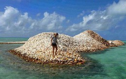 Đây là hòn đảo nhân tạo có một không hai trên thế giới: toàn bộ được làm từ vỏ ốc xà cừ chất thành đống