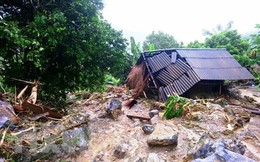 Năm 2019, có khả năng xuất hiện khoảng 10 -12 cơn bão