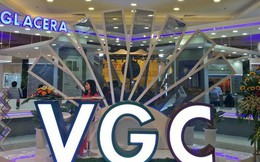 Viglacera 'hoãn' ngày niêm yết trên HoSE để thực hiện thoái vốn Nhà nước