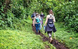 Uganda: Các tay súng bắt cóc du khách Mỹ, đòi 500.000 USD tiền chuộc