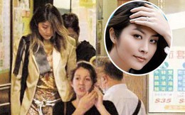 Hoa hậu Hong Kong Trần Tuệ Lâm lại mua biệt thự bạc tỷ, "để dành" 20 căn bất động sản cho 2 quý tử