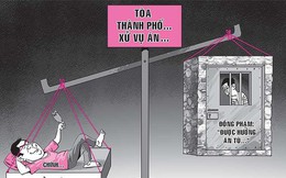 Bị cáo chính được án treo, đồng phạm bị tù giam