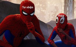 Tơ nhện và thép, vật liệu nào chắc chắn hơn?