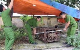 Chó cắn chết người: Hết thời chép miệng ‘trời kêu ai nấy dạ’!