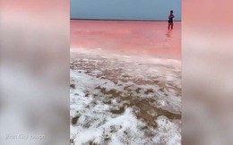 Bí ẩn biển nước hồng rực như cổ tích ở Colombia