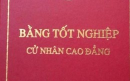 TTCP đang xử lí 1 vụ trưởng khai bằng cao đẳng thành đại học