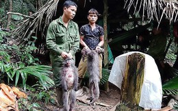 Các quy định đáng chú ý có hiệu lực từ tháng 6/2019