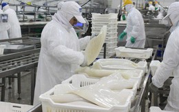 Hàn Quốc là thị trường tiêu thụ mực, bạch tuộc lớn nhất của Việt Nam