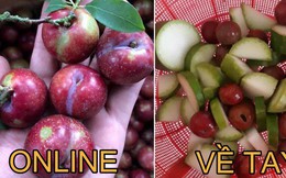 Mua mận online 40k bị “độn” toàn bầu bí, cô gái sốc khi người bán phản hồi: “Thật thà ăn cháo láo nháo ăn cơm, nghe thấy bao giờ chưa?”