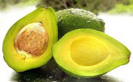 Cây bơ bổ dưỡng và vị thuốc quý
