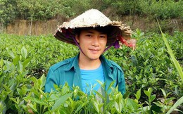 Cử nhân báo chí về quê trồng chè ướp sen giá chục triệu/kg