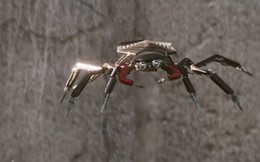 Cùng tìm hiểu về Spider-Tracers: Những “chú nhện con” đáng yêu của Spider Man