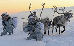 Đại chiến Bắc Cực – Kịch bản nào có thể xảy ra
