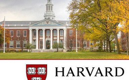 “Vỡ mộng” Harvard: Bệnh thành tích, nạn “cha truyền con nối”, phân biệt giới tính, sinh viên không hẹn hò vì thiếu kỹ năng