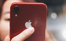iPhone XR: Chiếc iPhone không đáng để bị người Việt hắt hủi